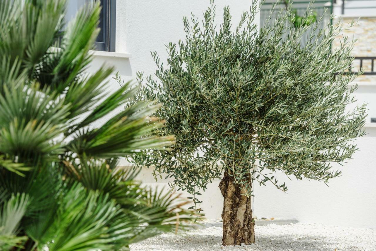 Apartments Villa Dalmatia Trogir Luaran gambar